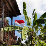 一眼レフカメラとミラーレス一眼カメラの違いって？