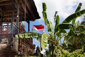 一眼レフカメラとミラーレス一眼カメラの違いって？