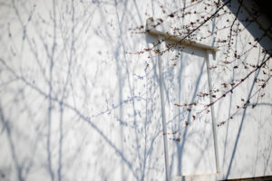 【丸わかり！】Pモードってなに？これであなたも一眼レフデビュー！