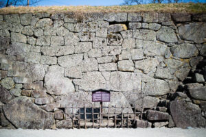 【丸わかり】シャッター優先AEモード（S、TV）とは？撮影の自由度を高める設定法と活用方法について解説！