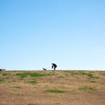 【必読】一眼レフ初心者の最初の一歩