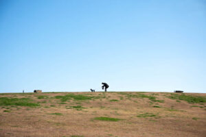 【必読】一眼レフ初心者の最初の一歩